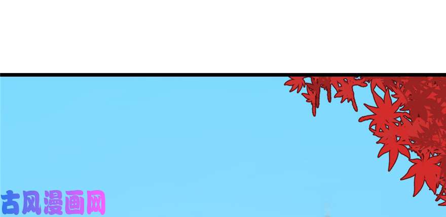 毒步天下：特工神医小兽妃88