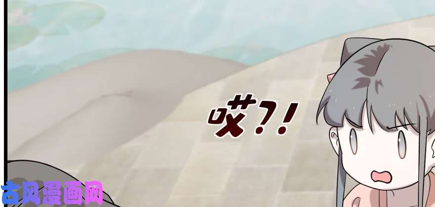 毒步天下：特工神医小兽妃89