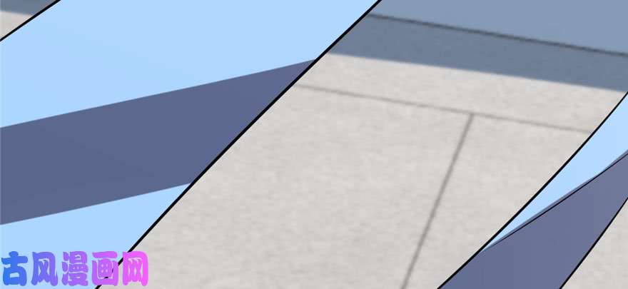 毒步天下：特工神医小兽妃90