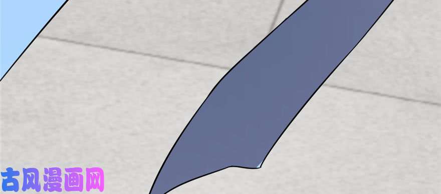 毒步天下：特工神医小兽妃90