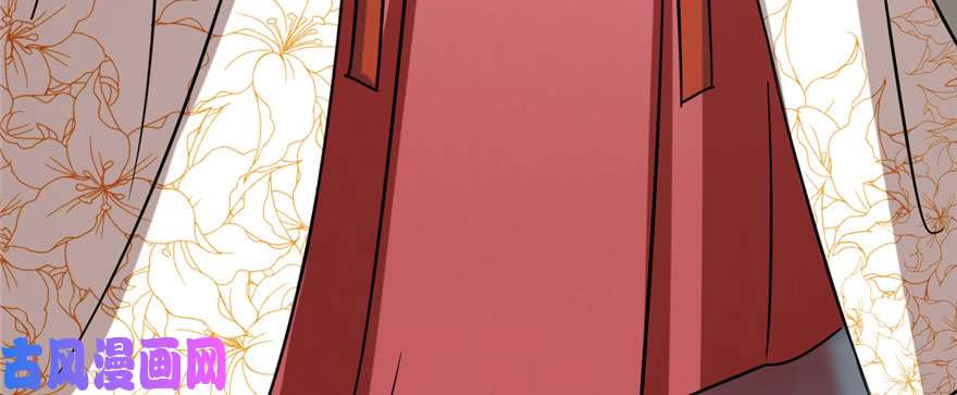 毒步天下：特工神医小兽妃90