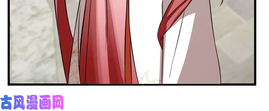 毒步天下：特工神医小兽妃90