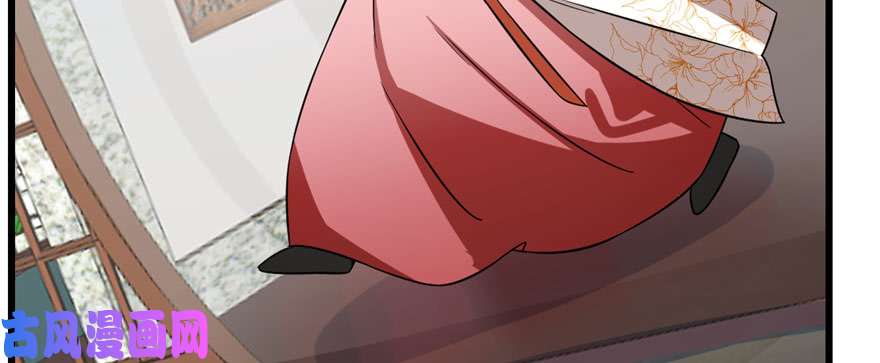 毒步天下：特工神医小兽妃90