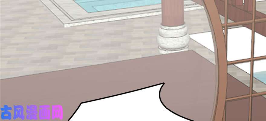 毒步天下：特工神医小兽妃90