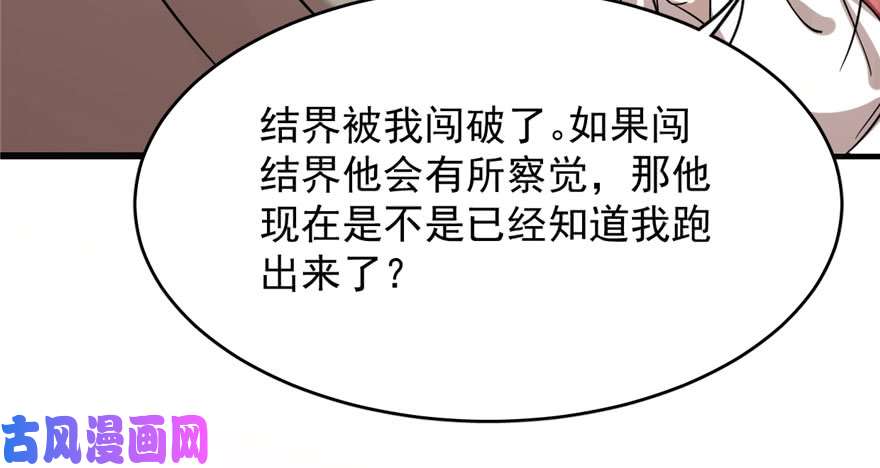 毒步天下：特工神医小兽妃90