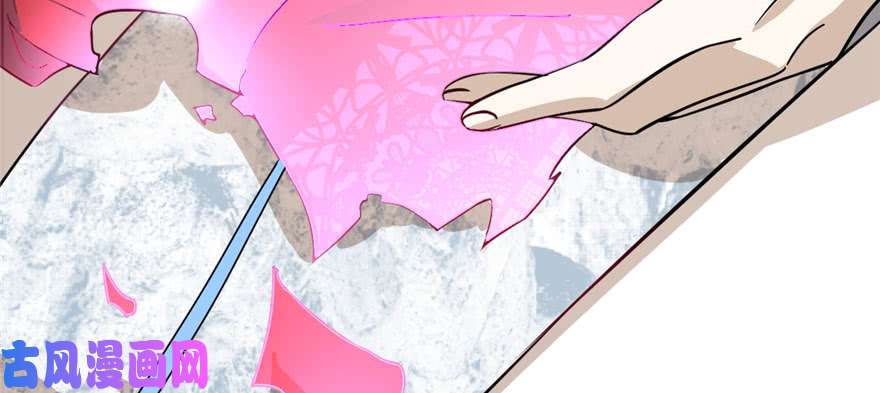 毒步天下：特工神医小兽妃92