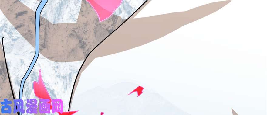 毒步天下：特工神医小兽妃92