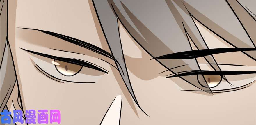 毒步天下：特工神医小兽妃92