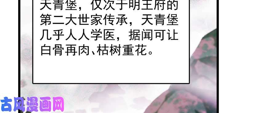 毒步天下：特工神医小兽妃92