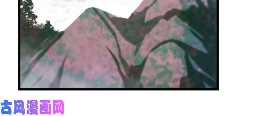 毒步天下：特工神医小兽妃92