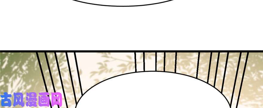 毒步天下：特工神医小兽妃93