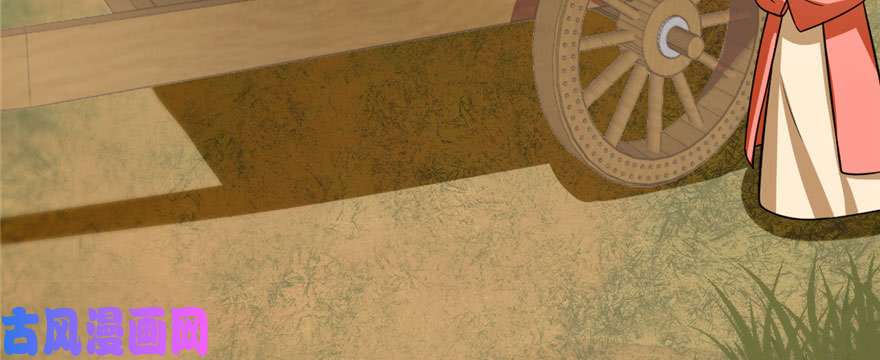 毒步天下：特工神医小兽妃93