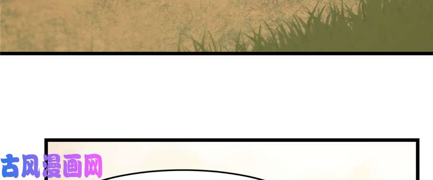 毒步天下：特工神医小兽妃93