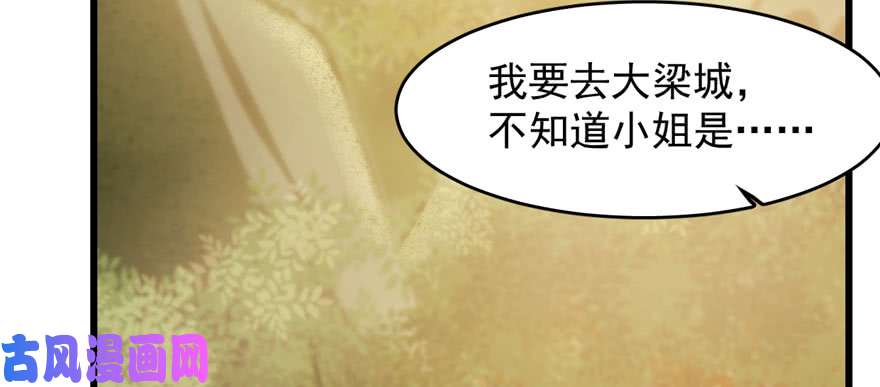 毒步天下：特工神医小兽妃93