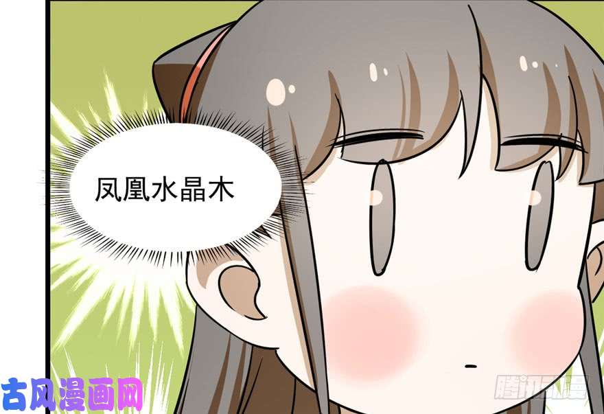 毒步天下：特工神医小兽妃93