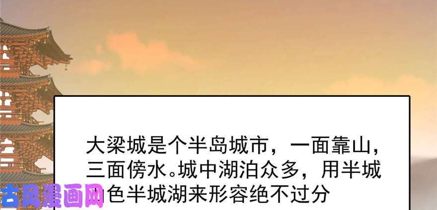 毒步天下：特工神医小兽妃93