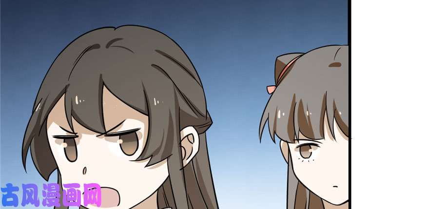 毒步天下：特工神医小兽妃93