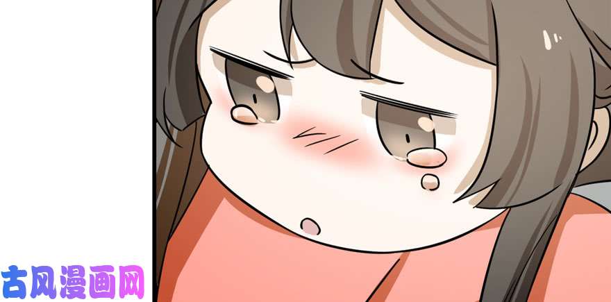 毒步天下：特工神医小兽妃94