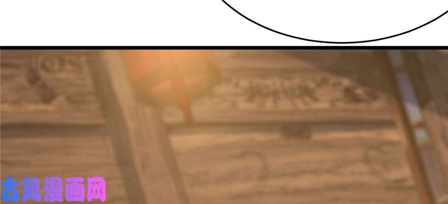 毒步天下：特工神医小兽妃94