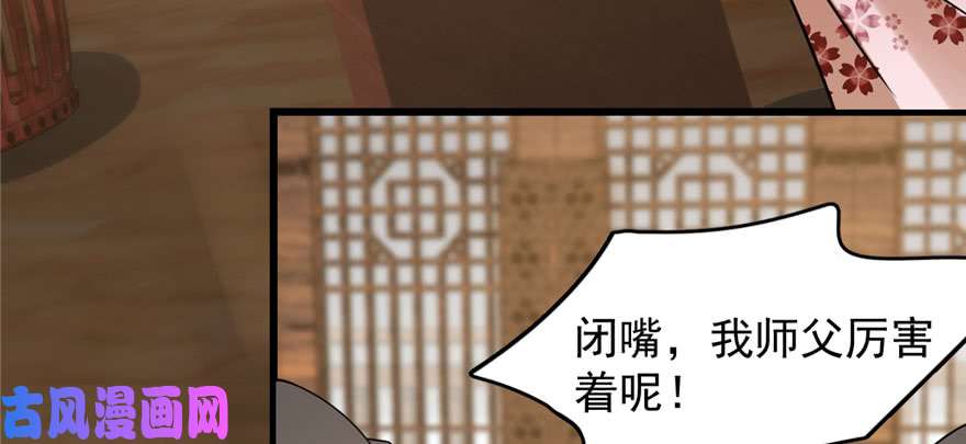 毒步天下：特工神医小兽妃94