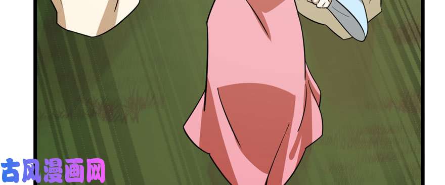 毒步天下：特工神医小兽妃94