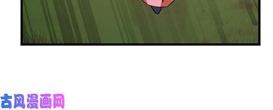 毒步天下：特工神医小兽妃94