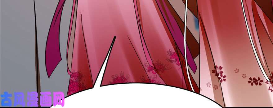 毒步天下：特工神医小兽妃94