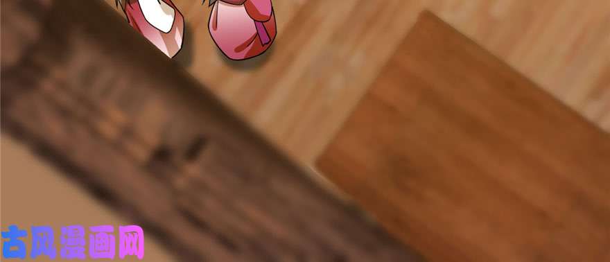 毒步天下：特工神医小兽妃94