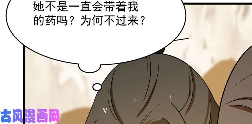 毒步天下：特工神医小兽妃95