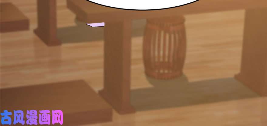 毒步天下：特工神医小兽妃95