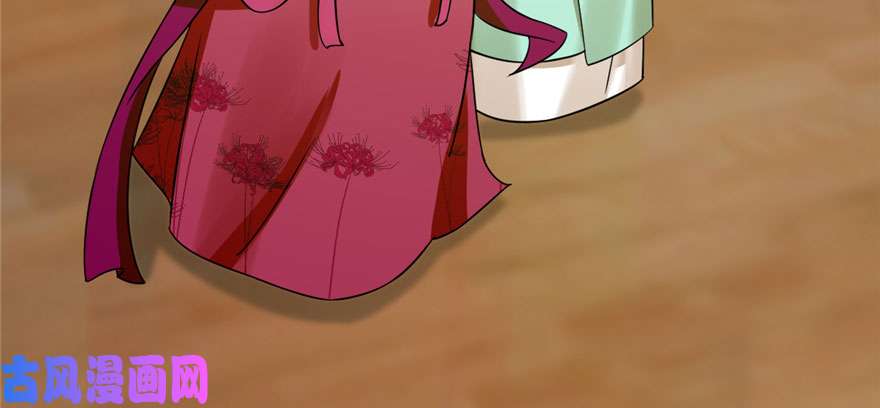 毒步天下：特工神医小兽妃95