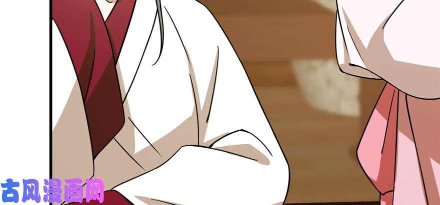 毒步天下：特工神医小兽妃95