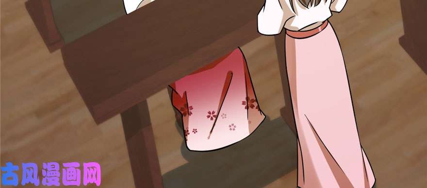 毒步天下：特工神医小兽妃95