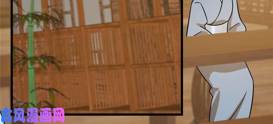 毒步天下：特工神医小兽妃95