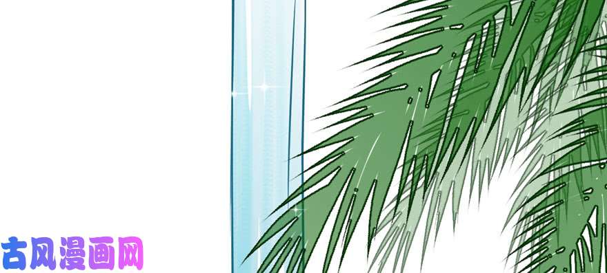 毒步天下：特工神医小兽妃96