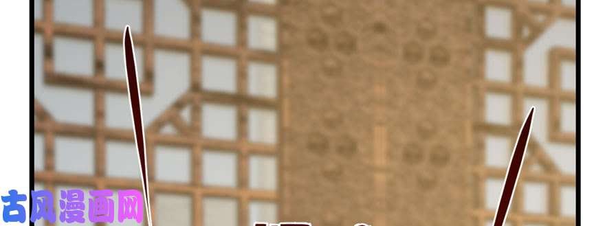 毒步天下：特工神医小兽妃96