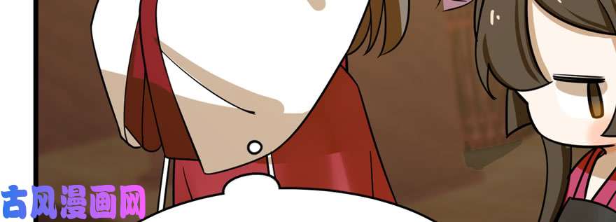 毒步天下：特工神医小兽妃96