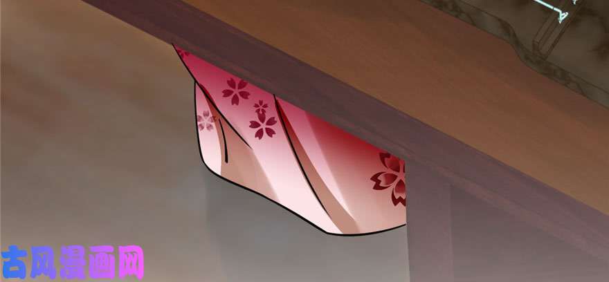 毒步天下：特工神医小兽妃96