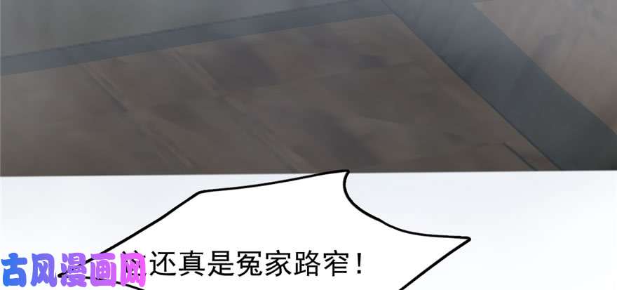 毒步天下：特工神医小兽妃97