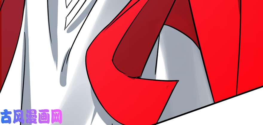 毒步天下：特工神医小兽妃98