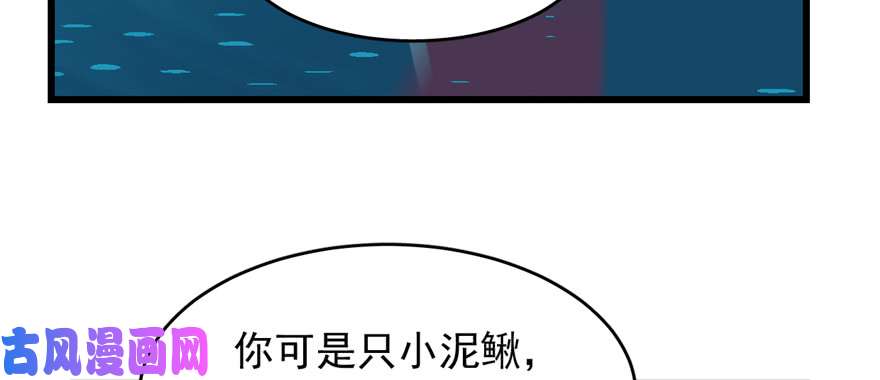 毒步天下：特工神医小兽妃98