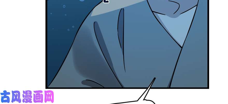 毒步天下：特工神医小兽妃98