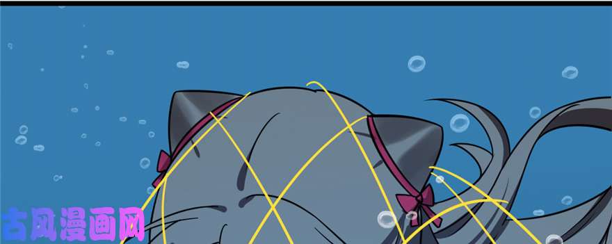 毒步天下：特工神医小兽妃98