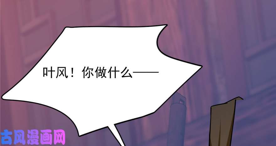 毒步天下：特工神医小兽妃100