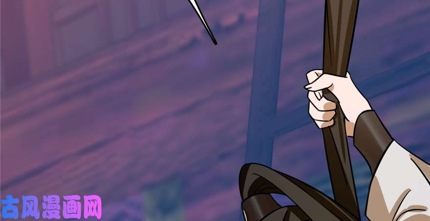 毒步天下：特工神医小兽妃100