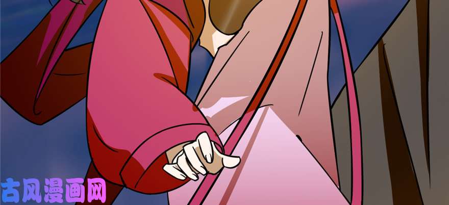 毒步天下：特工神医小兽妃100