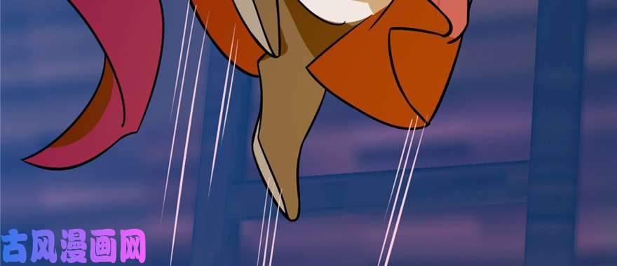 毒步天下：特工神医小兽妃100