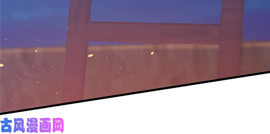 毒步天下：特工神医小兽妃100