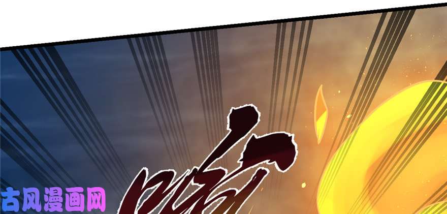 毒步天下：特工神医小兽妃100