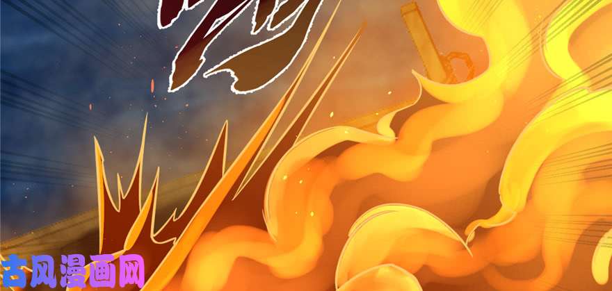 毒步天下：特工神医小兽妃100